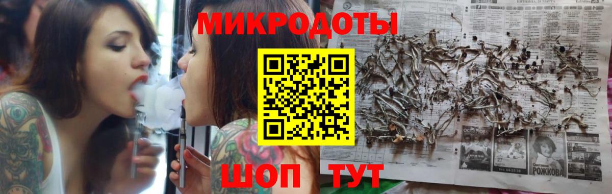 Псилоцибиновые грибы GOLDEN TEACHER Кисловодск